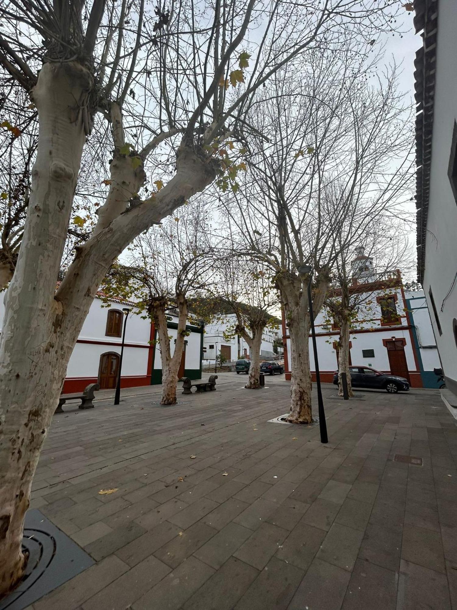 Vivienda Alpa Fontanales Daire Agua de Fontanales Dış mekan fotoğraf