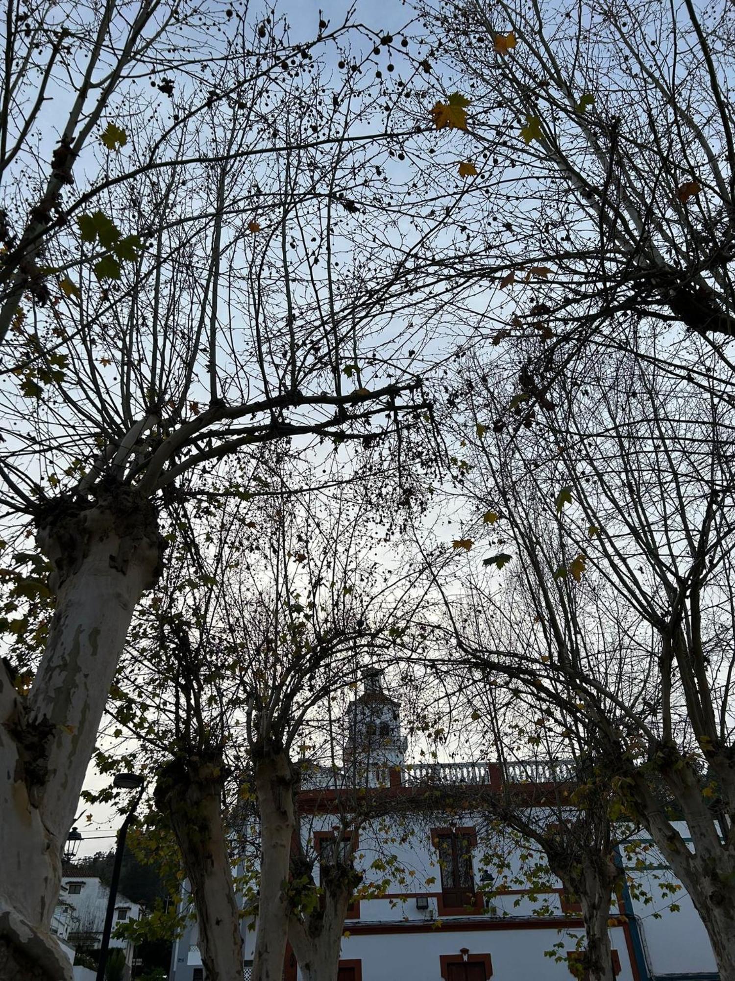 Vivienda Alpa Fontanales Daire Agua de Fontanales Dış mekan fotoğraf