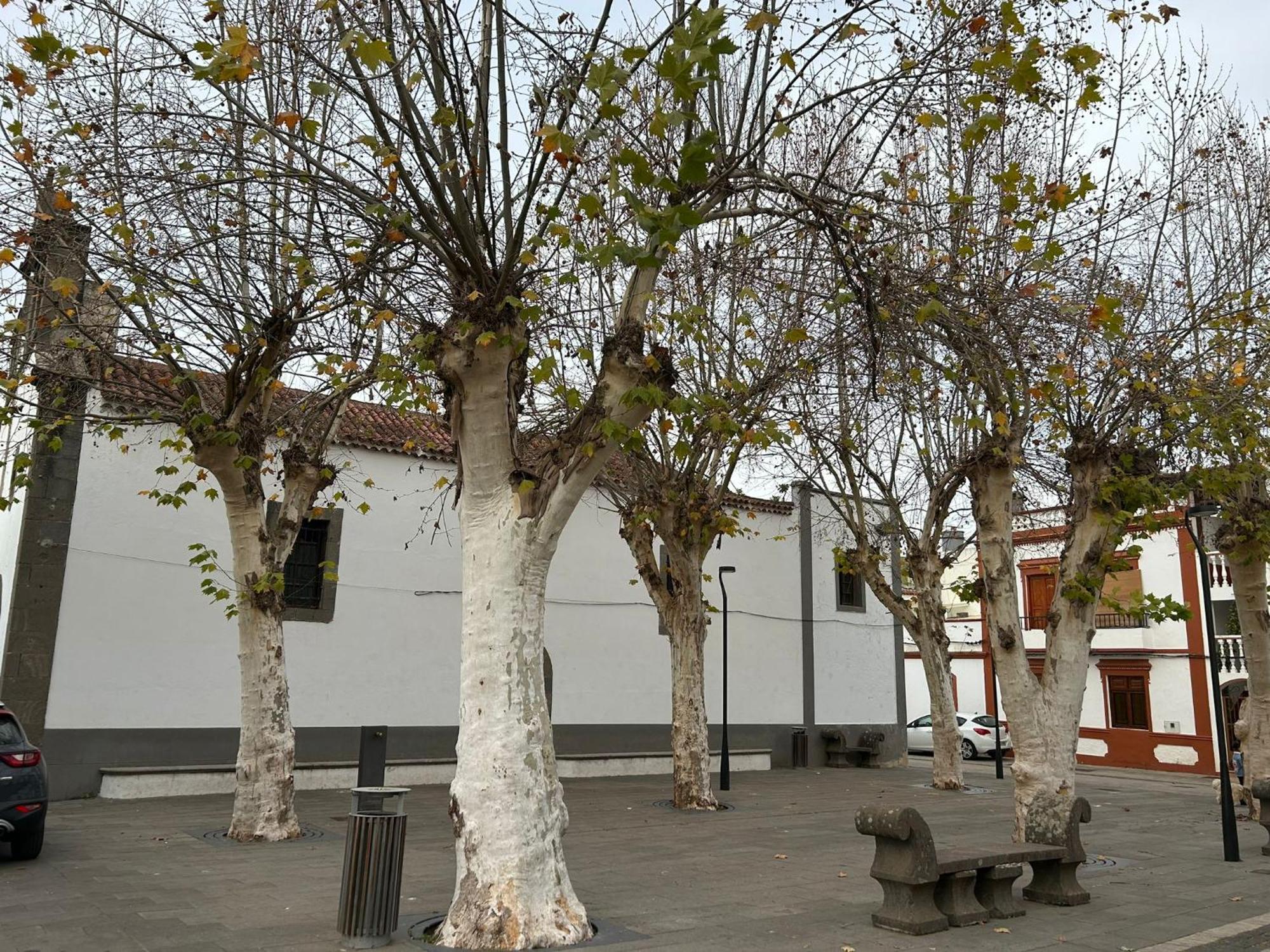 Vivienda Alpa Fontanales Daire Agua de Fontanales Dış mekan fotoğraf
